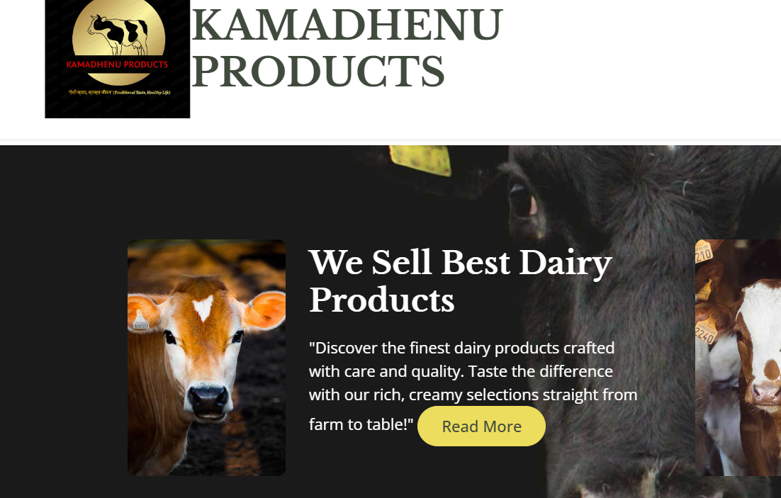 dairy_banner